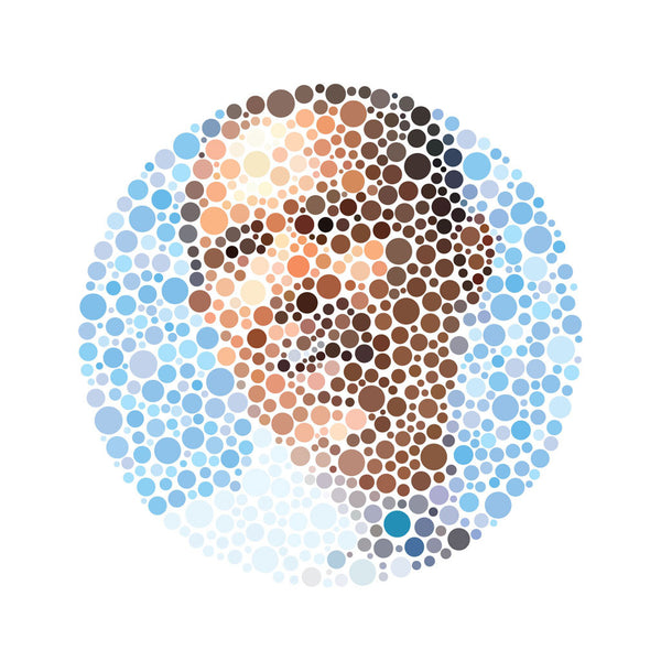 Colour Blind Portraits - Barack Obama